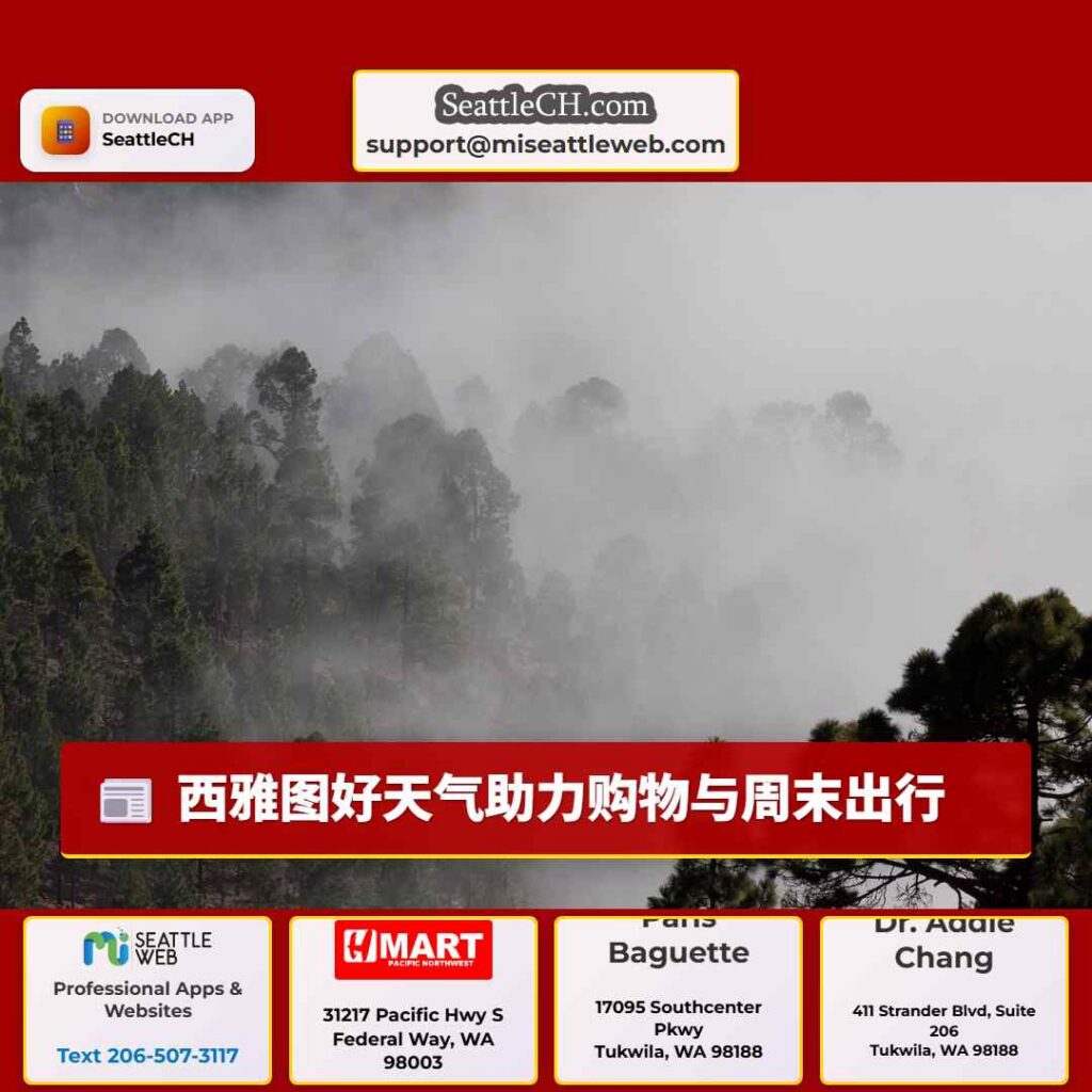 西雅图好天气助力购物与周末出行
