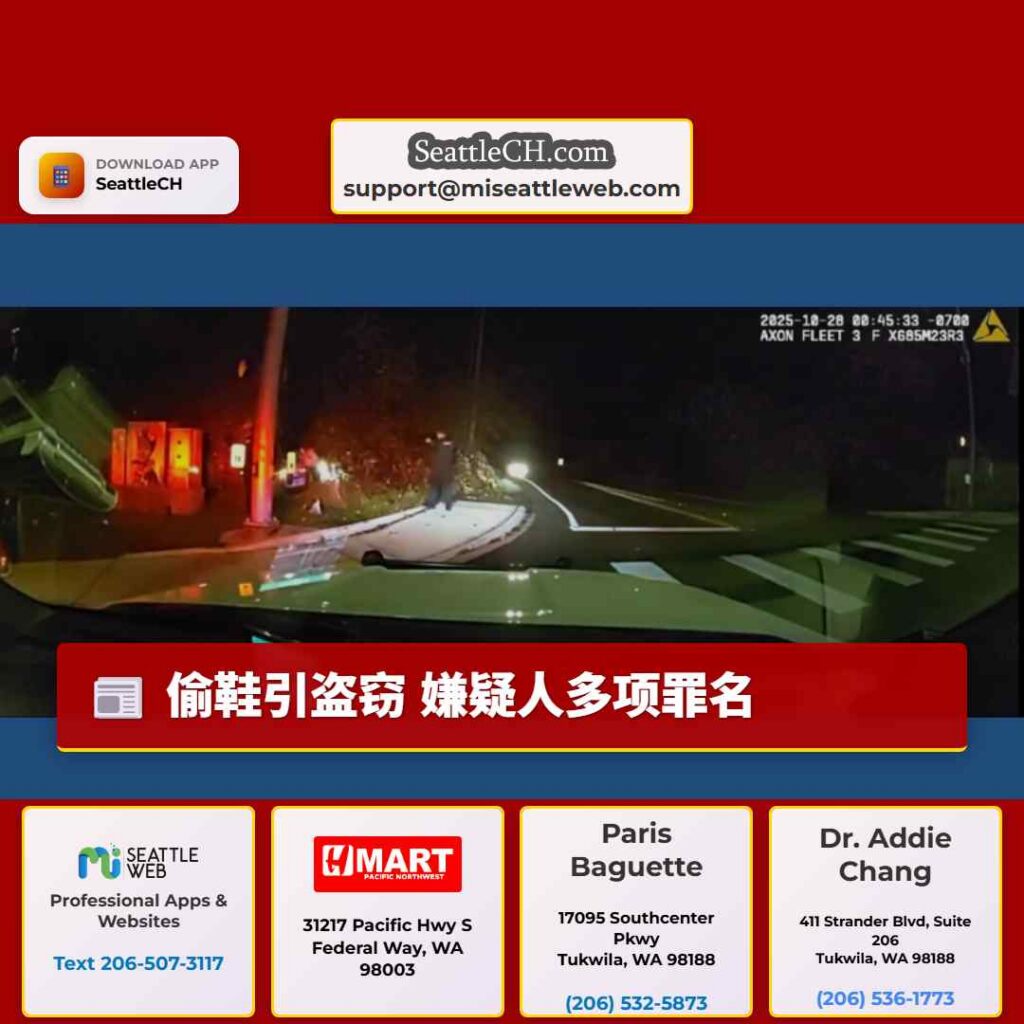 偷鞋引盗窃 嫌疑人多项罪名