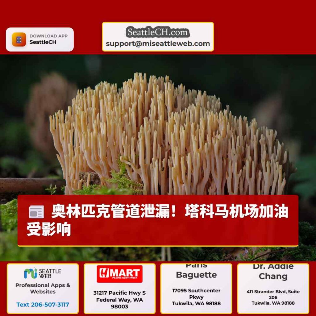 奥林匹克管道泄漏！塔科马机场加油受影响