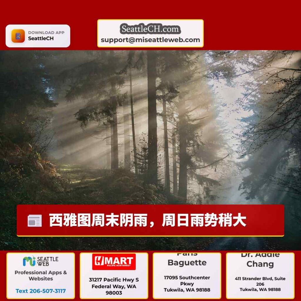 西雅图周末阴雨，周日雨势稍大