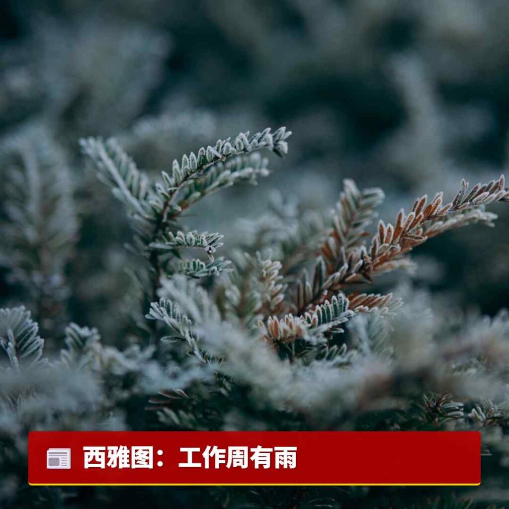 西雅图:工作周有雨