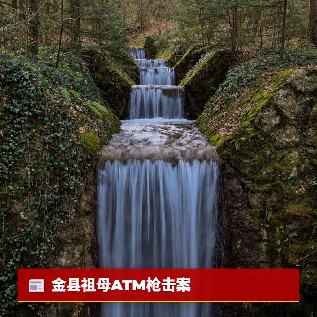 金县祖母ATM枪击案