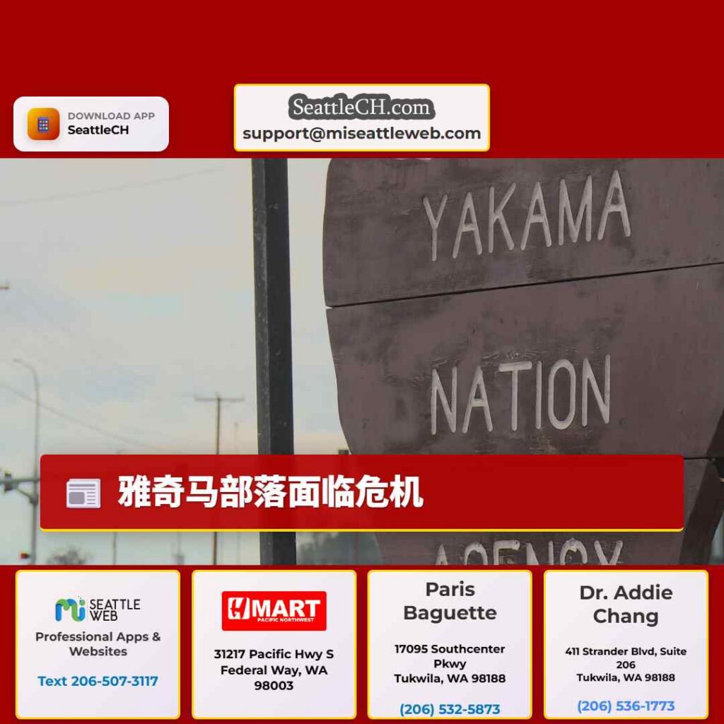 雅奇马部落面临危机