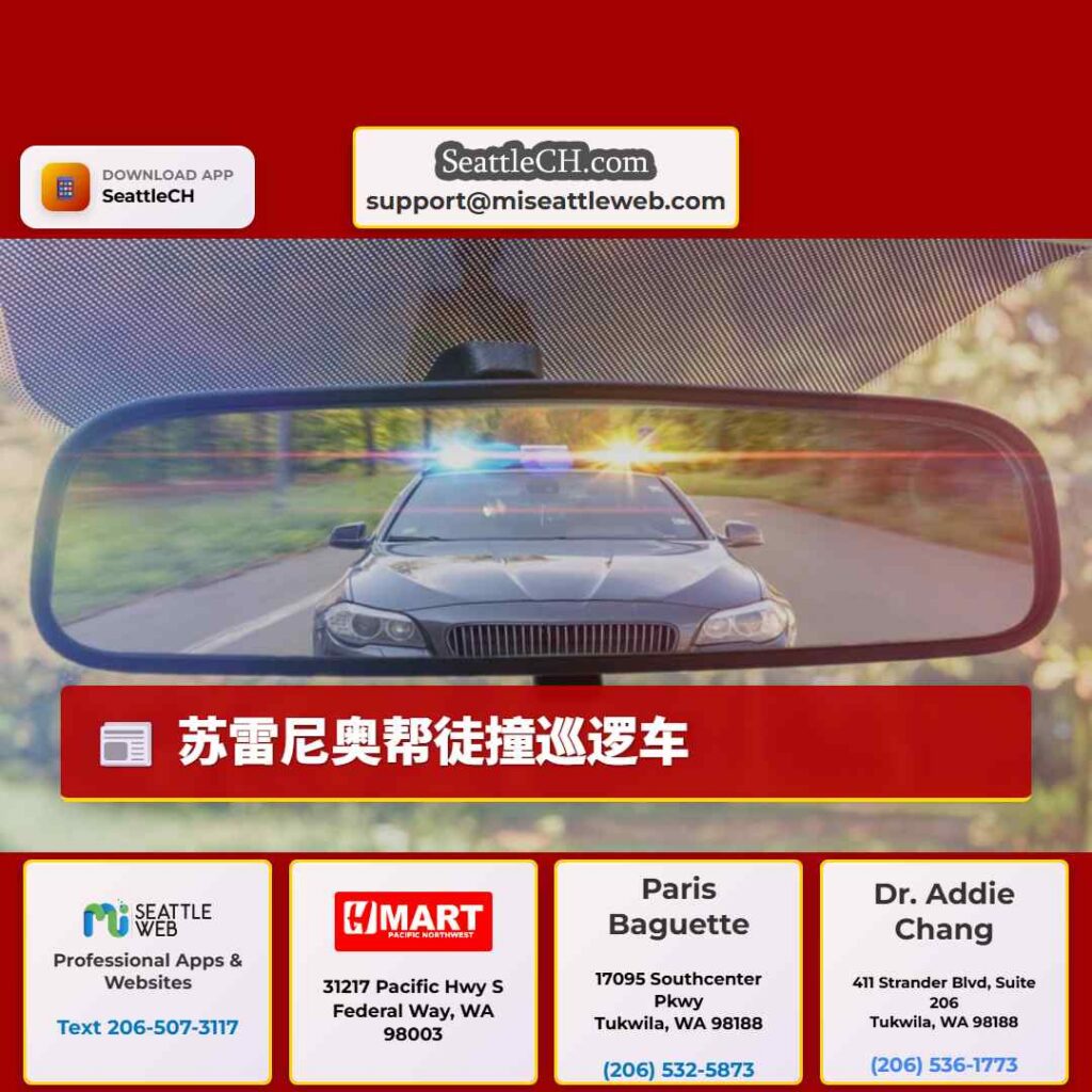 苏雷尼奥帮徒撞巡逻车