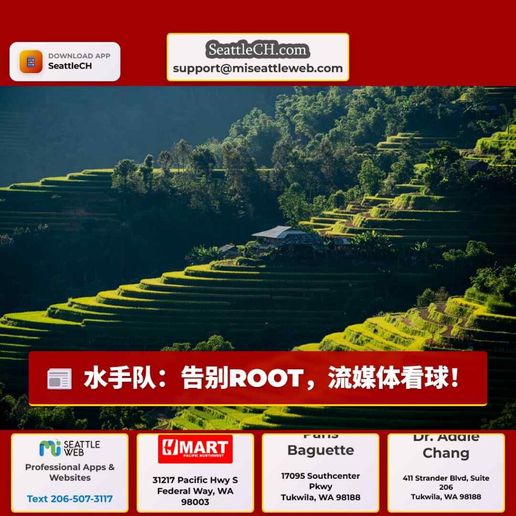 水手队：告别ROOT，流媒体看球！