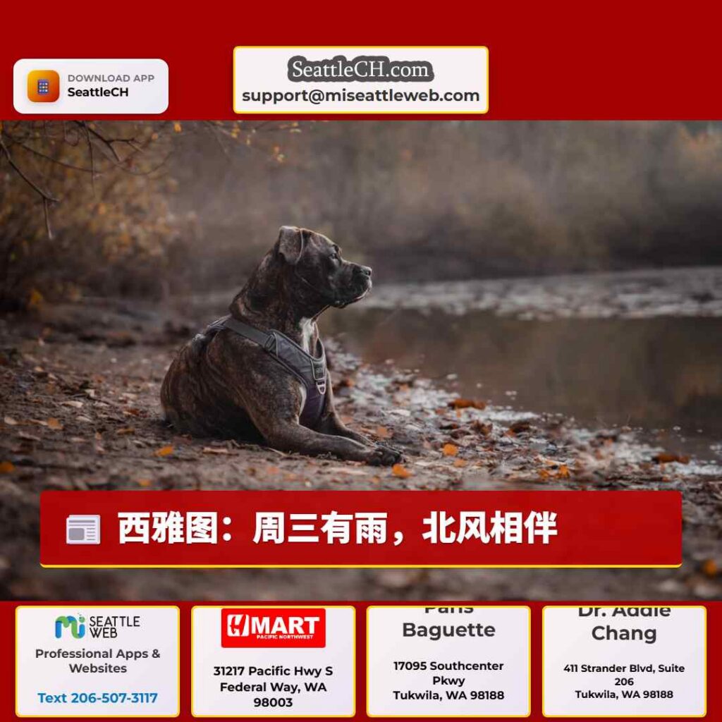 西雅图：周三有雨，北风相伴