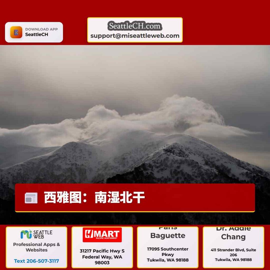 西雅图：南湿北干