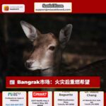 西雅图受欢迎的泰国餐厅 Bangrak Market 火灾后反弹