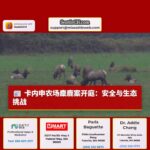 卡内申农场非法猎杀母麋鹿案将开庭审理：安全隐患与生态管理挑战