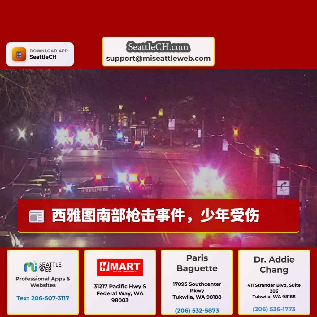 西雅图南部枪击事件，少年受伤