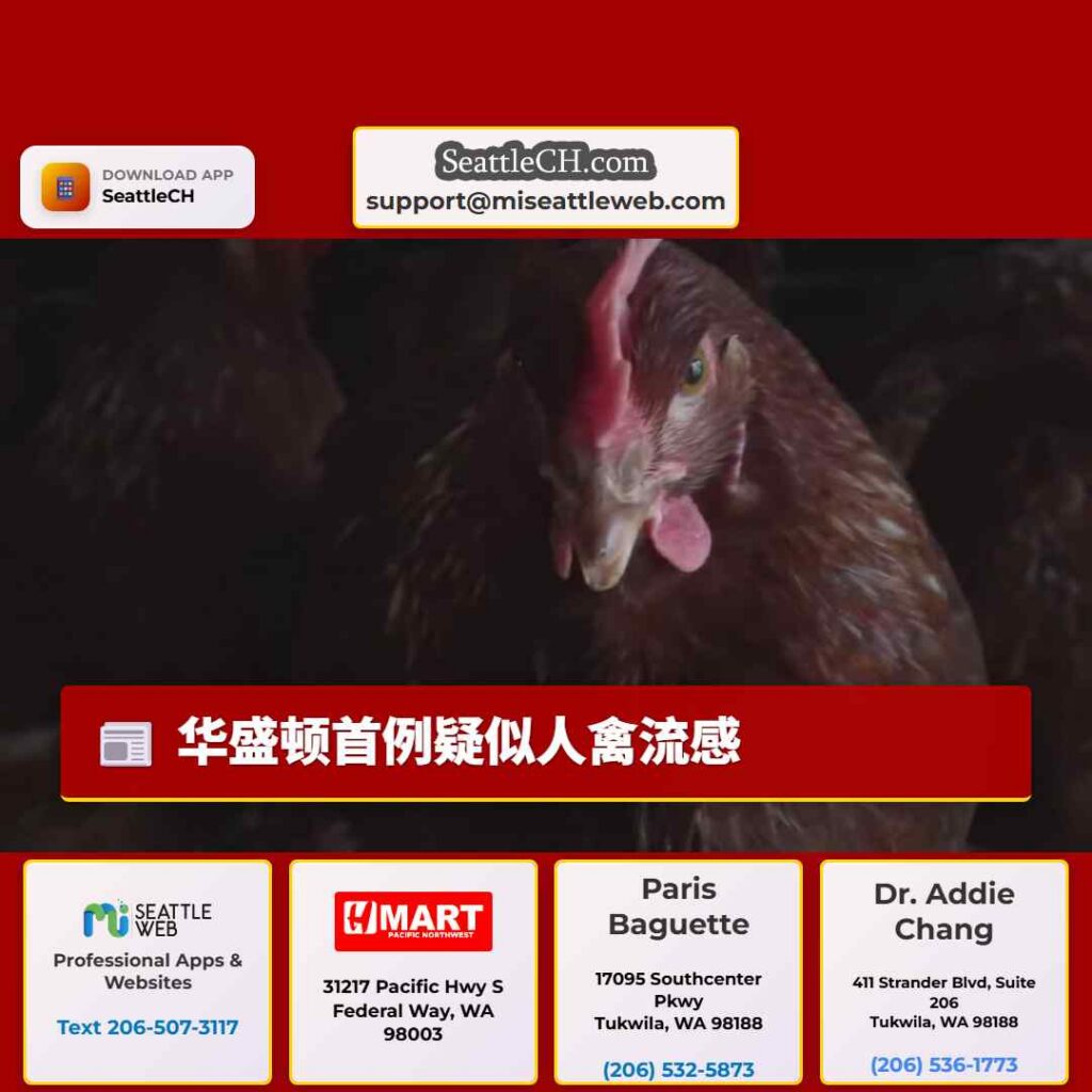 华盛顿首例疑似人禽流感