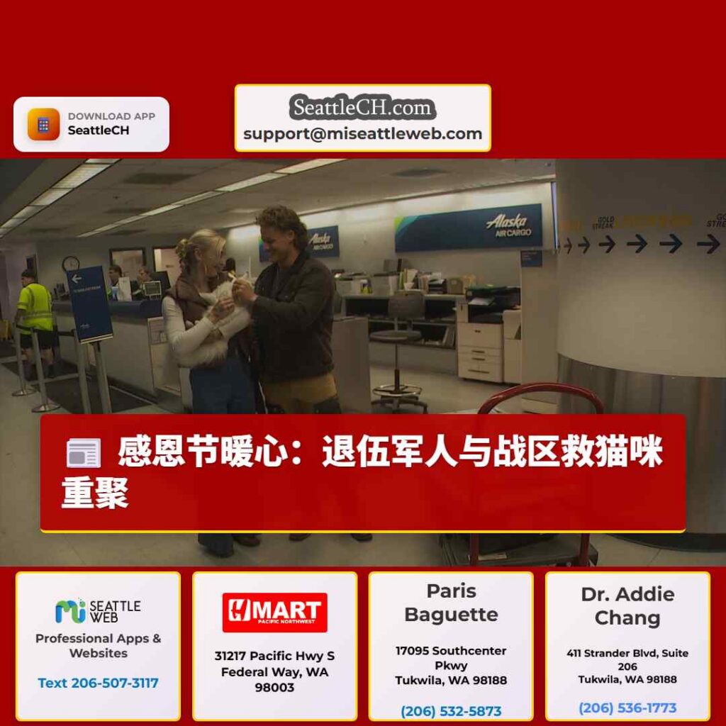 感恩节暖心：退伍军人与战区救猫咪重聚