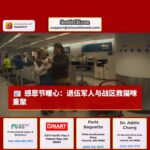 感恩节前夕：退伍军人与从战区救出的猫咪重聚，机场暖人心