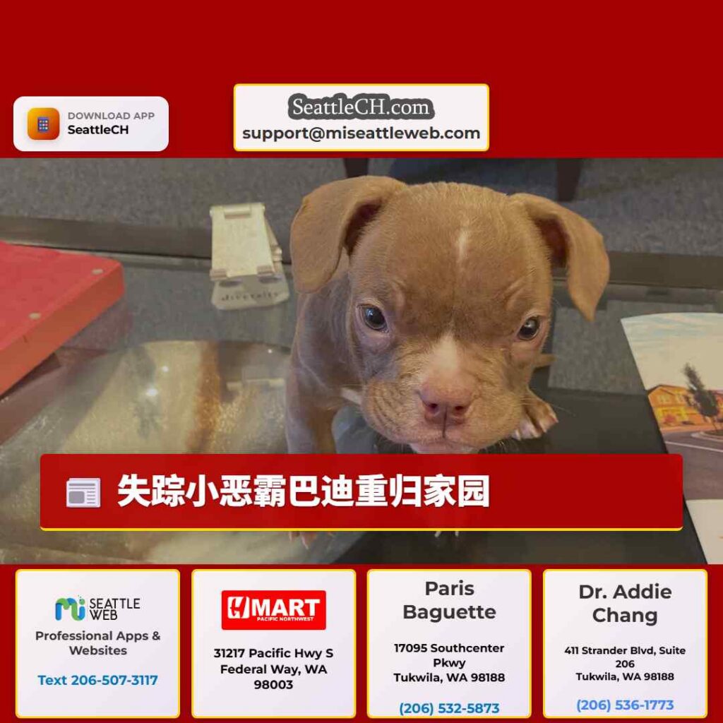 失踪小恶霸巴迪重归家园