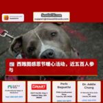 西雅图“感恩节为所有人”活动吸引近五百人，关爱社区弱势群体