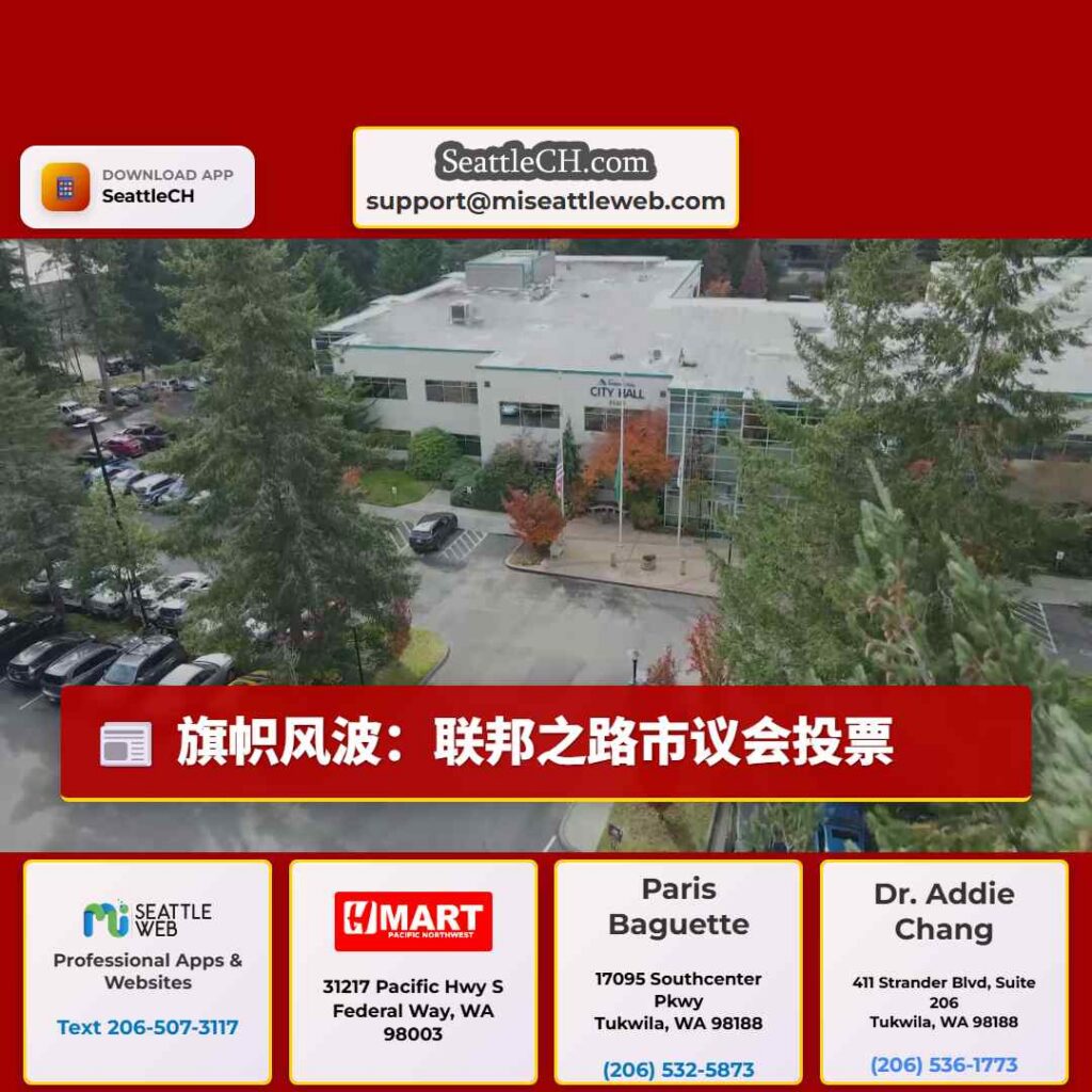 旗帜风波：联邦之路市议会投票