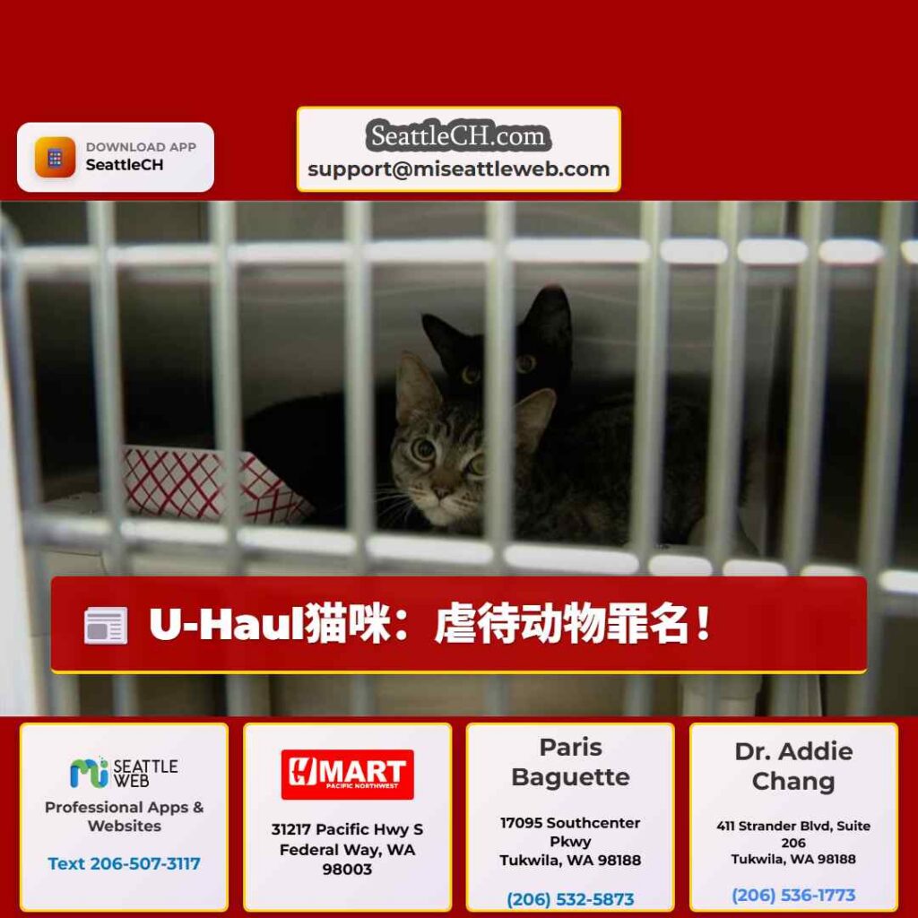 U-Haul猫咪：虐待动物罪名！