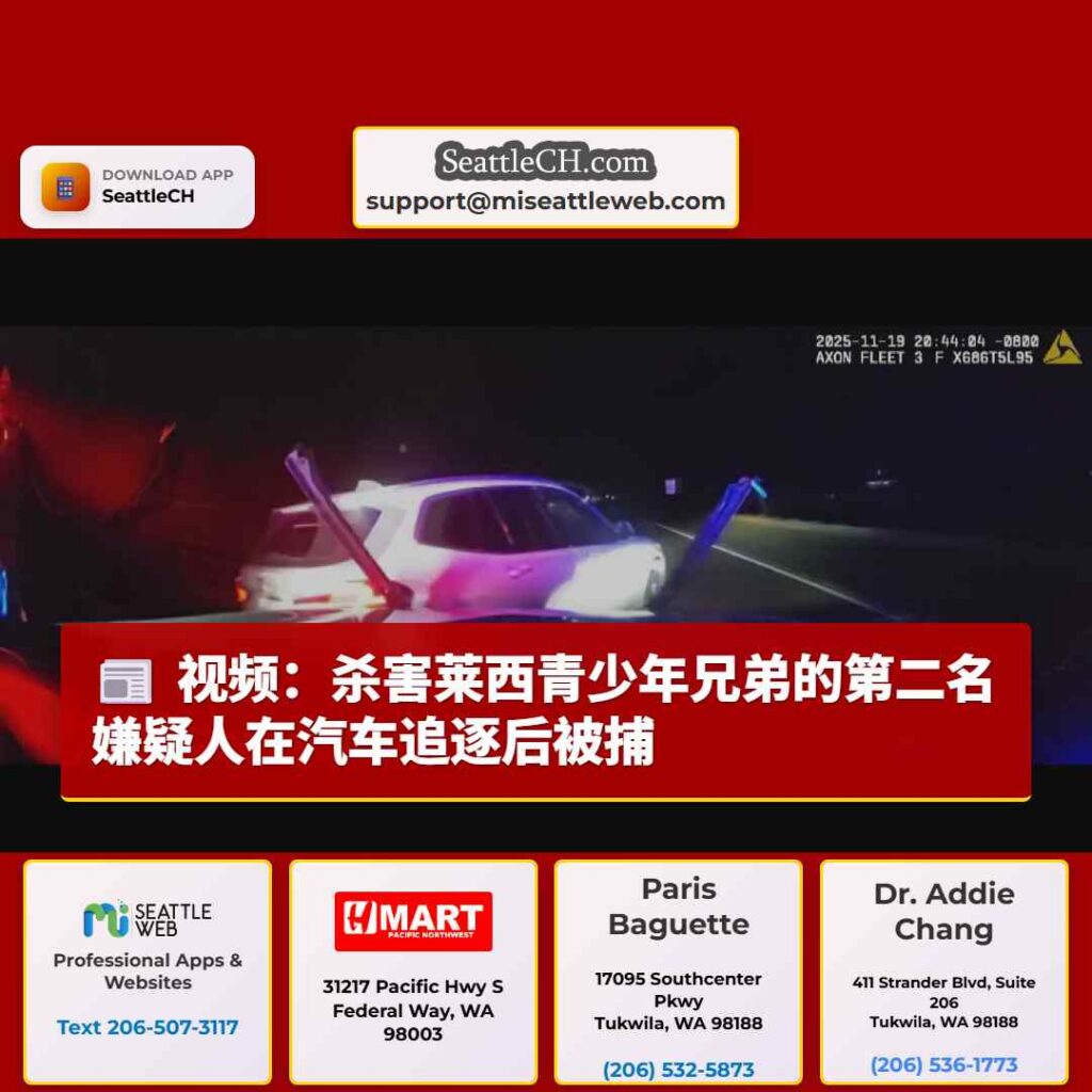 视频：杀害莱西青少年兄弟的第二名嫌疑人在汽车追逐后被捕