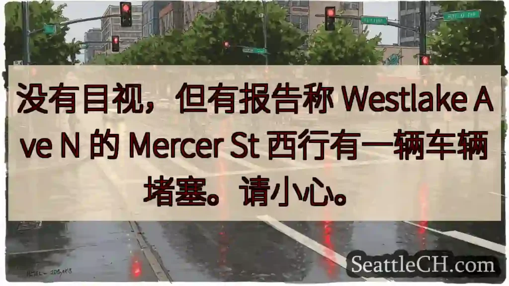 没有目视，但有报告称 Westlake Ave N 的 Mercer St