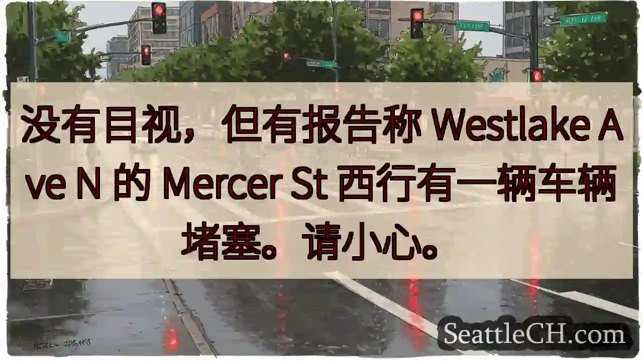 没有目视，但有报告称 Westlake Ave N 的 Mercer St