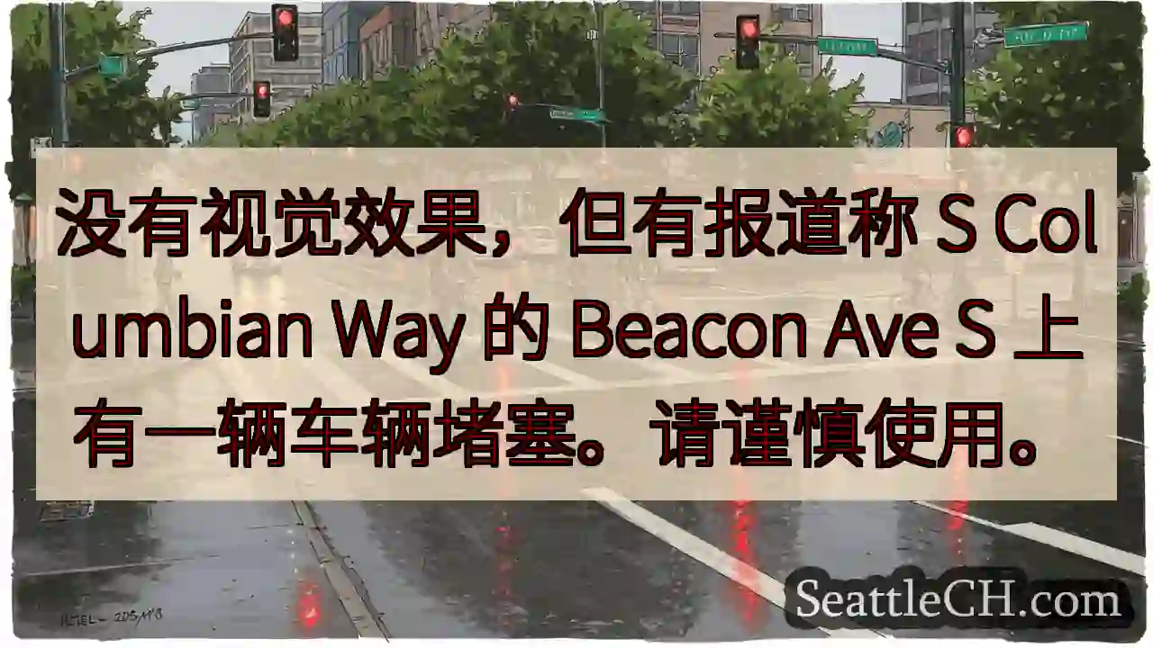 没有视觉效果，但有报道称 S Columbian Way 的 Beacon Ave S