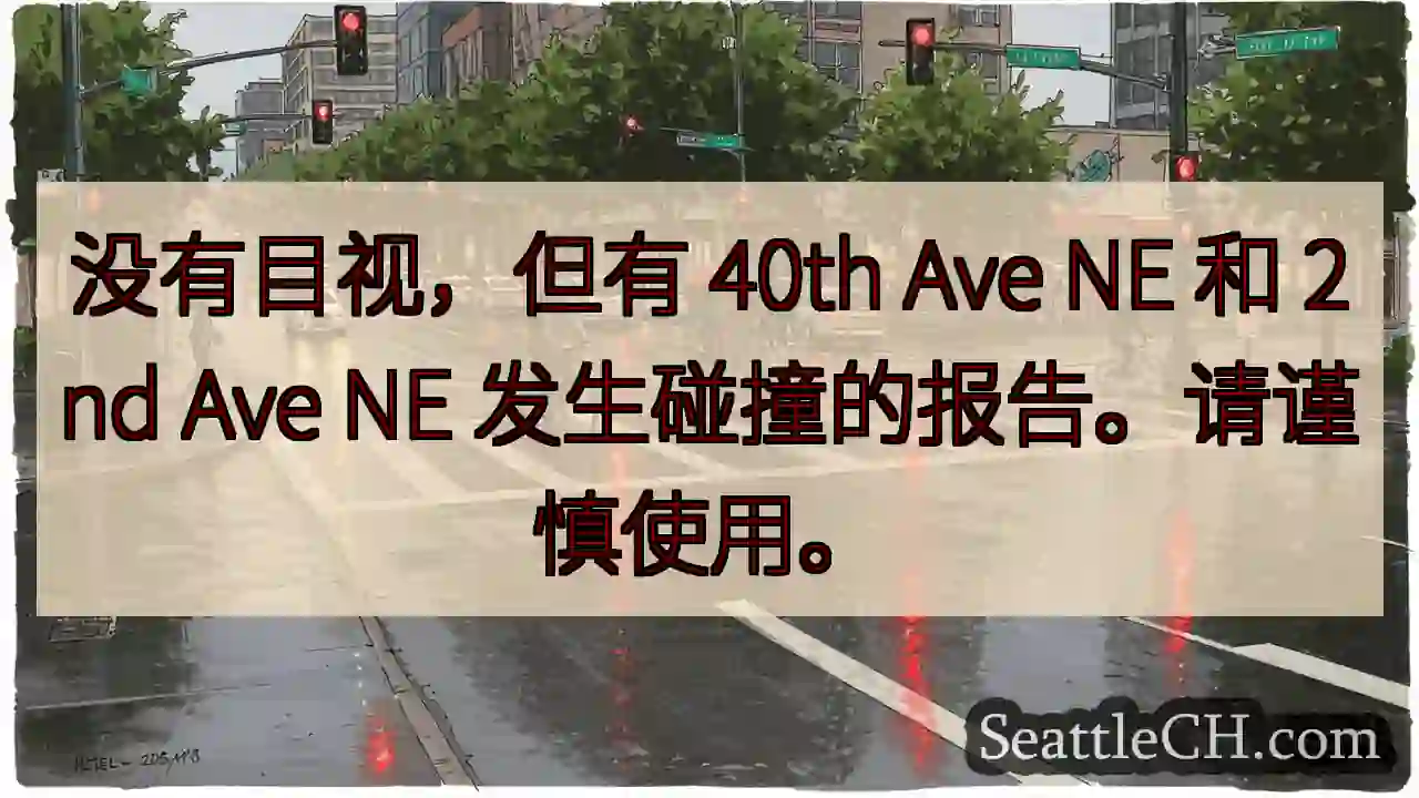 没有目视，但有 40th Ave NE 和 2nd Ave NE 发生碰撞的报告。请谨慎使用。