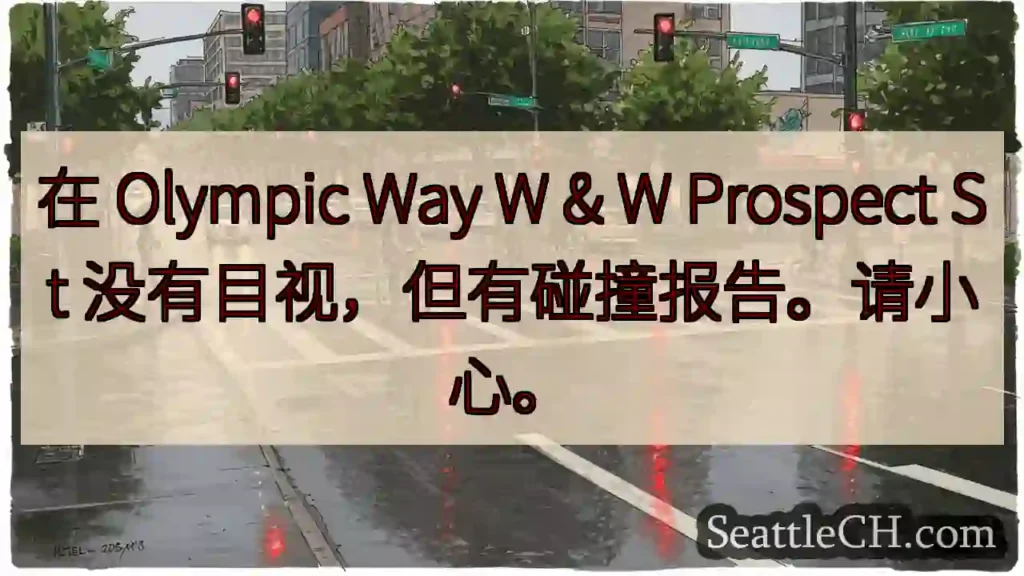 在 Olympic Way W & W Prospect St 没有目视，但有碰撞报告。请小心。