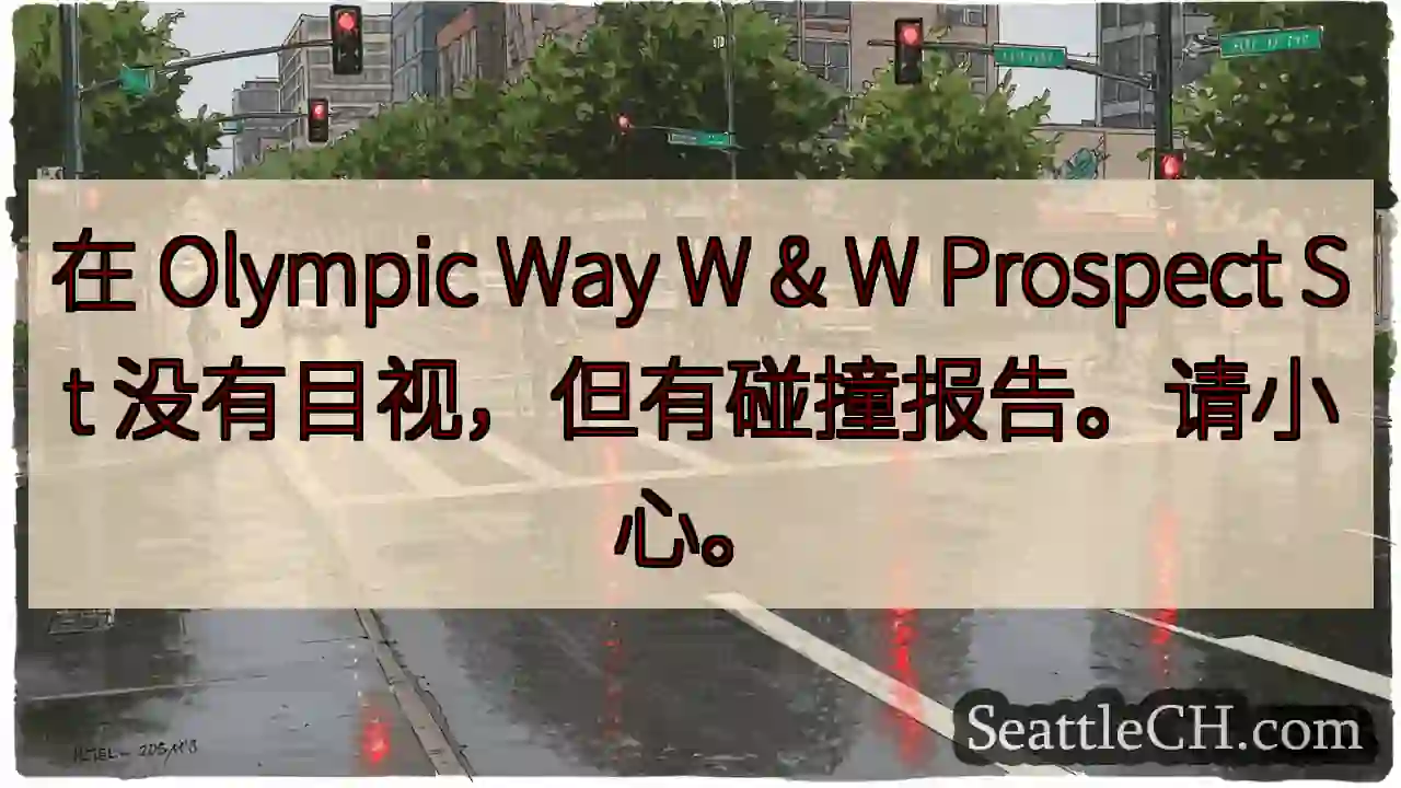 在 Olympic Way W & W Prospect St 没有目视，但有碰撞报告。请小心。
