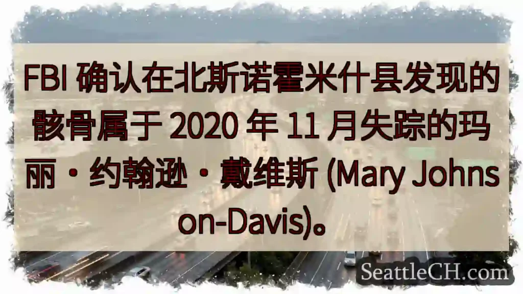 FBI 确认在北斯诺霍米什县发现的骸骨属于 2020 年 11 月失踪的玛丽·约翰逊·戴维斯
