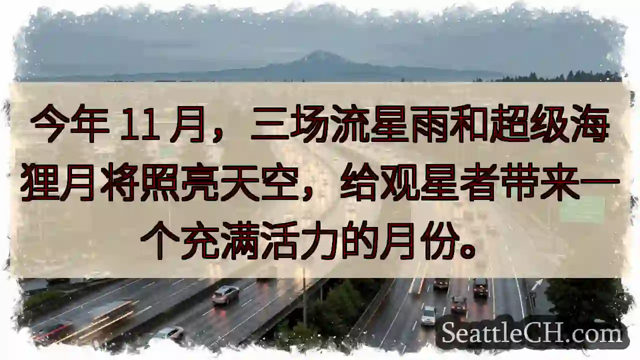 今年 11 月，三场流星雨和超级海狸月将照亮天空，给观星者带来一个充满活力的月份。
