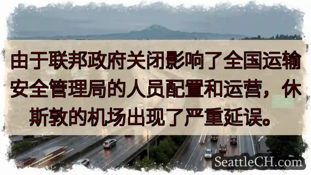 由于联邦政府关闭影响了全国运输安全管理局的人员配置和运营，休斯敦的机场出现了严重延误。