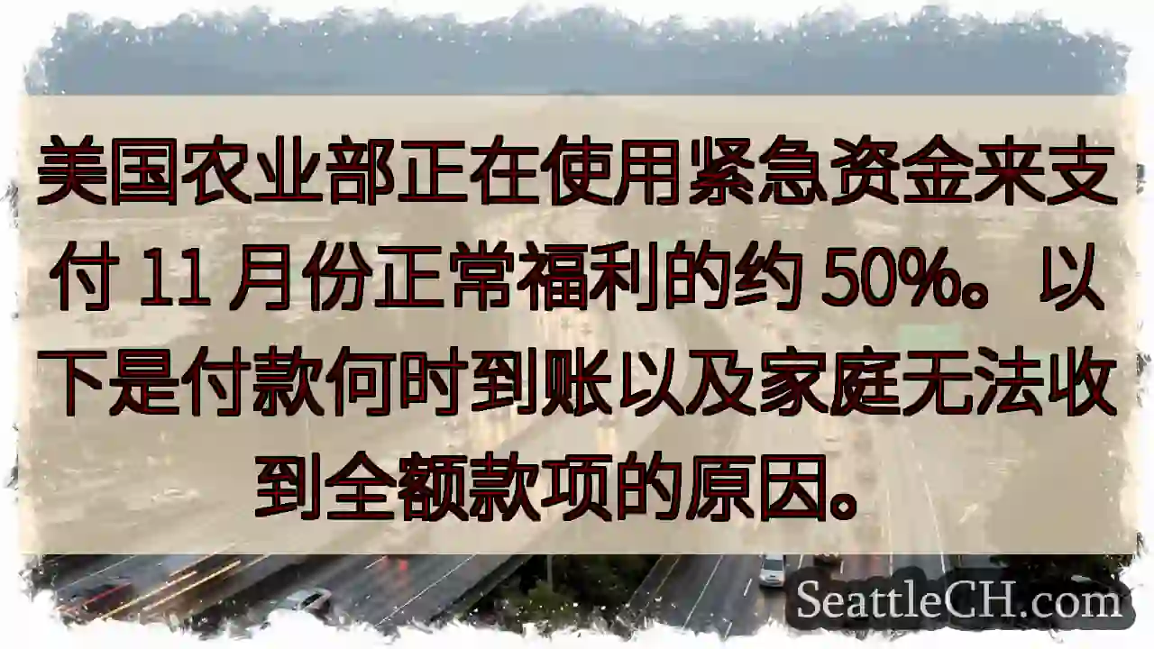 美国农业部正在使用紧急资金来支付 11 月份正常福利的约