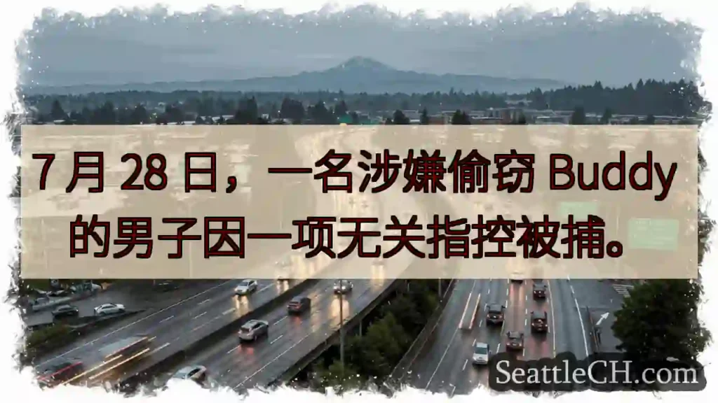 7 月 28 日，一名涉嫌偷窃 Buddy 的男子因一项无关指控被捕。