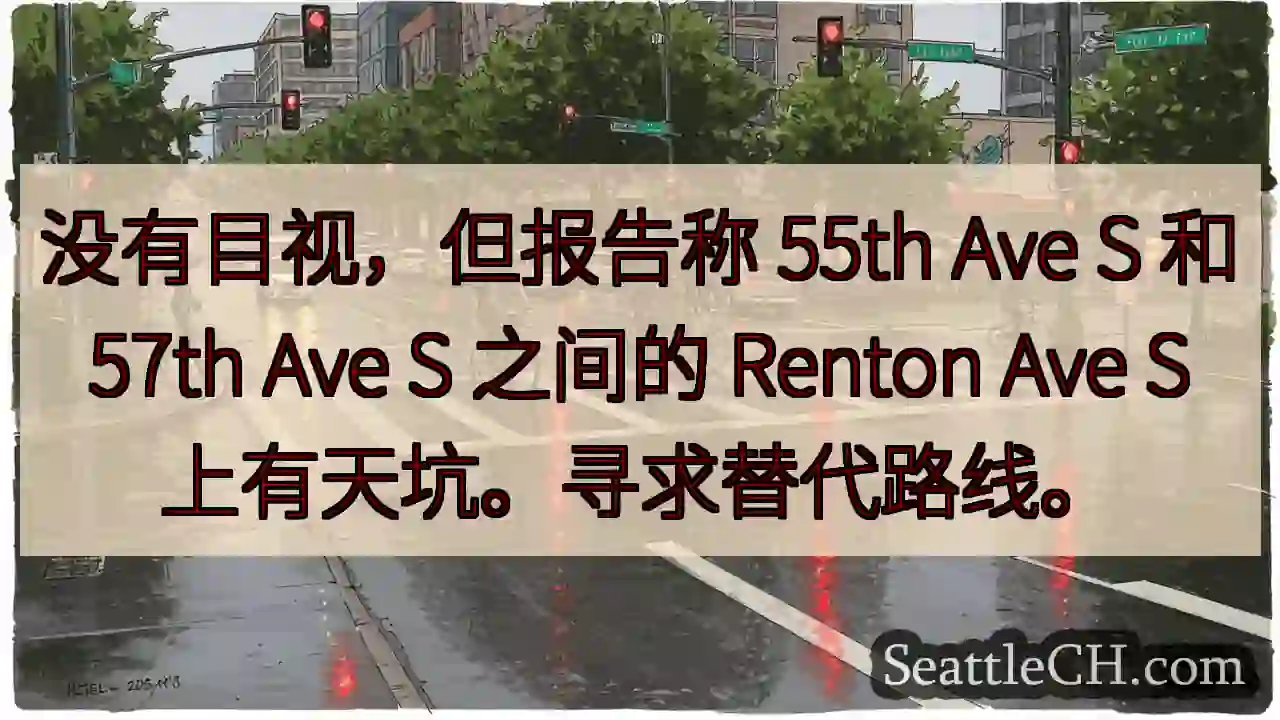 没有目视，但报告称 55th Ave S 和 57th Ave S 之间的 Renton Ave