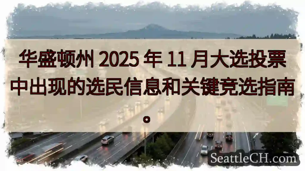 华盛顿州 2025 年 11 月大选投票中出现的选民信息和关键竞选指南。