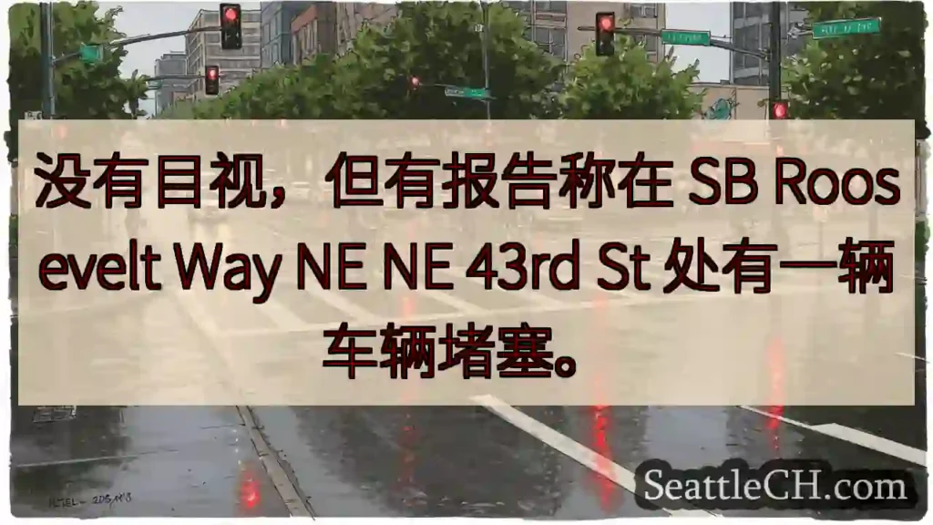 没有目视,但有报告称在 SB Roosevelt Way NE NE 43rd St