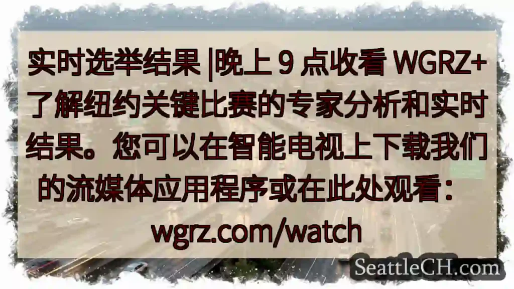 实时选举结果 |晚上 9 点收看