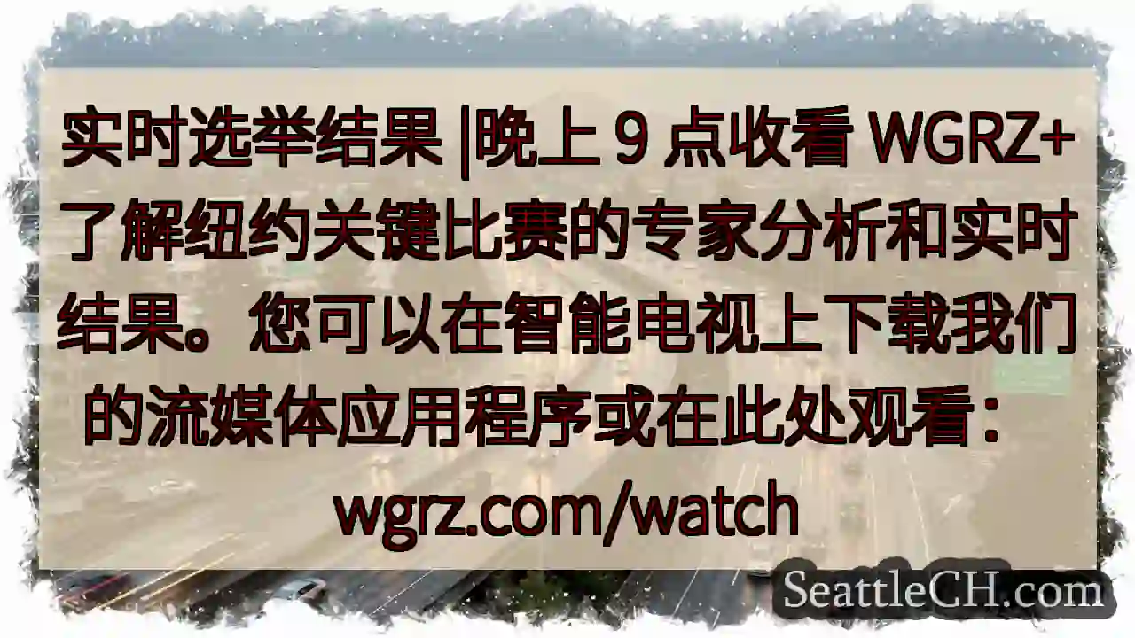 实时选举结果 |晚上 9 点收看
