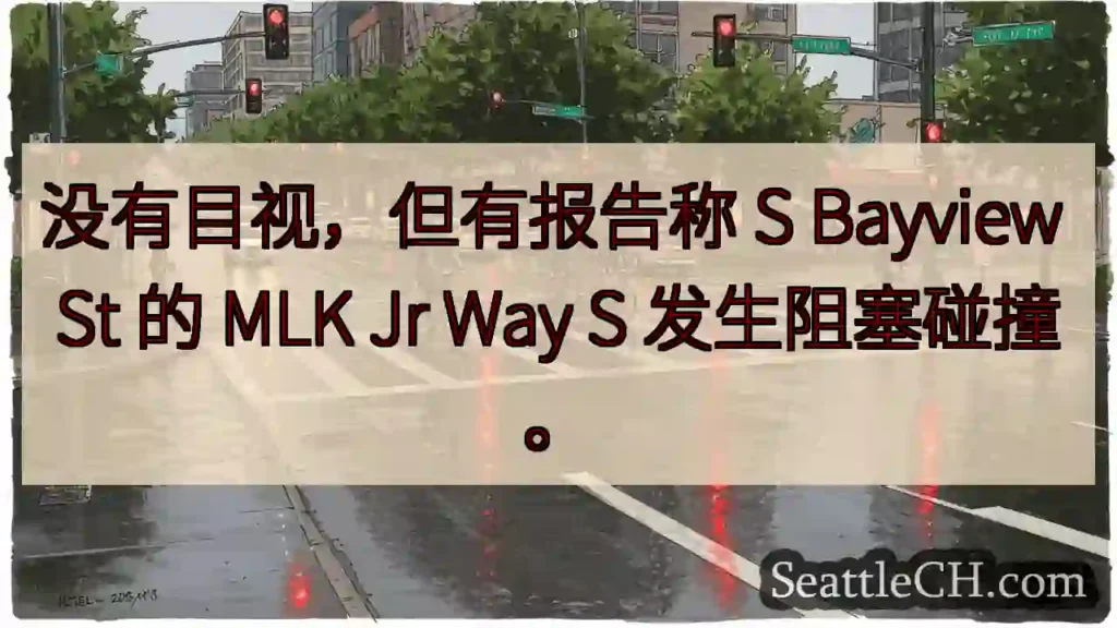 没有目视，但有报告称 S Bayview St 的 MLK Jr Way S 发生阻塞碰撞。