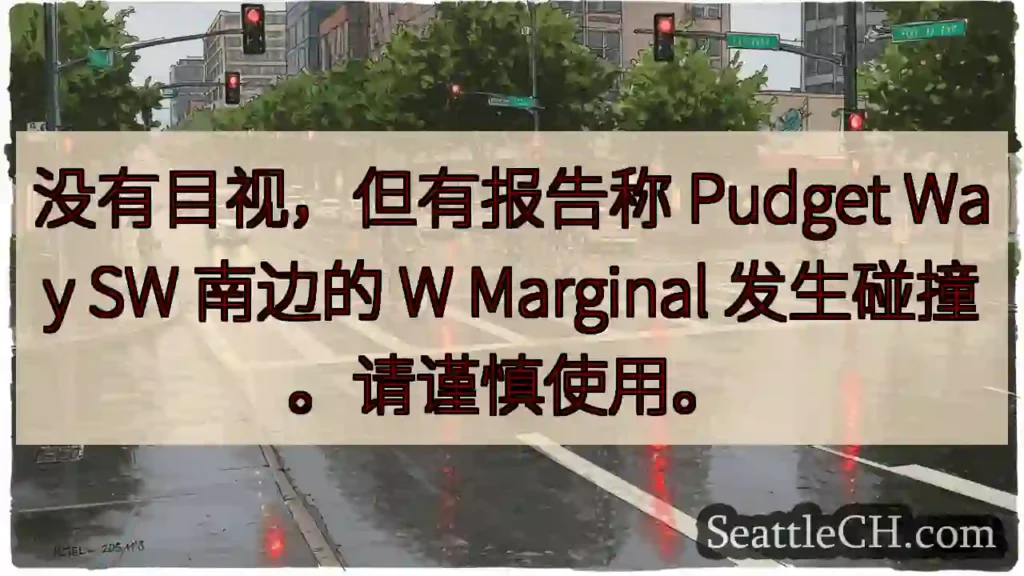 没有目视，但有报告称 Pudget Way SW 南边的 W Marginal