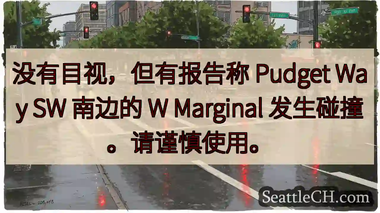 没有目视，但有报告称 Pudget Way SW 南边的 W Marginal