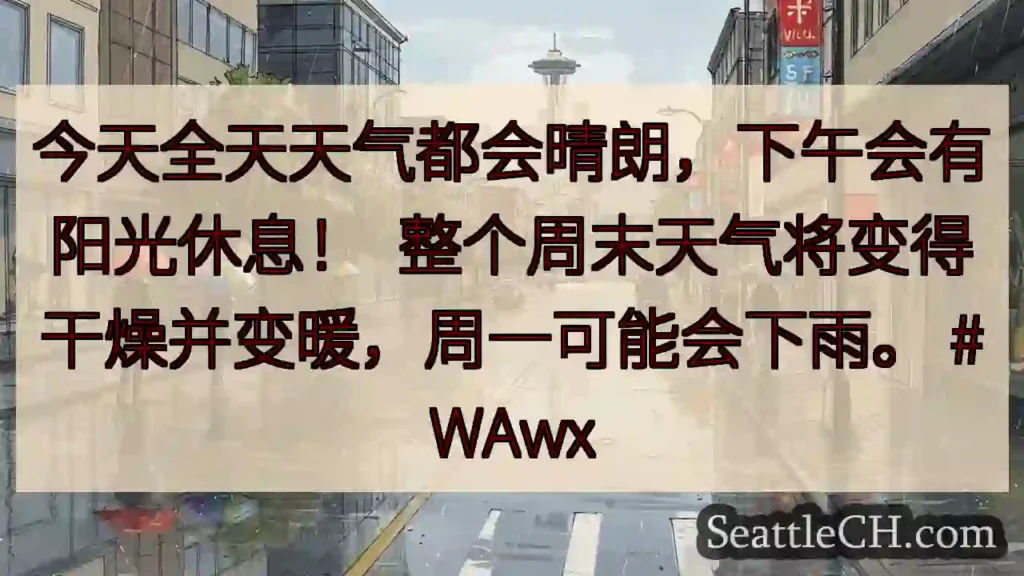 今天全天天气都会晴朗,下午会有阳光休息! 整个周末天气将变得干燥并变暖,周一可能会下雨。