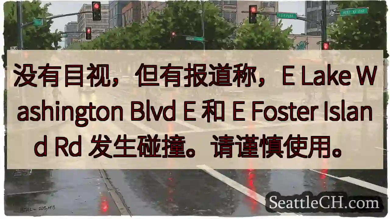 没有目视，但有报道称，E Lake Washington Blvd E 和 E Foster