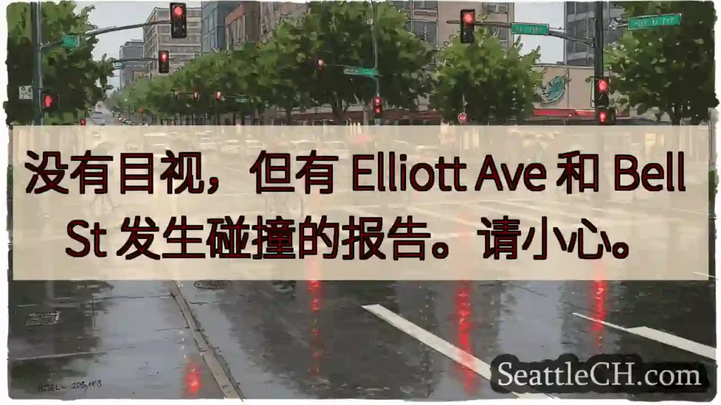 没有目视，但有 Elliott Ave 和 Bell St 发生碰撞的报告。请小心。