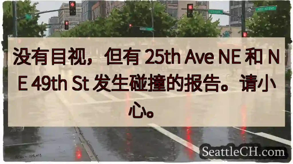 没有目视,但有 25th Ave NE 和 NE 49th St 发生碰撞的报告。请小心。