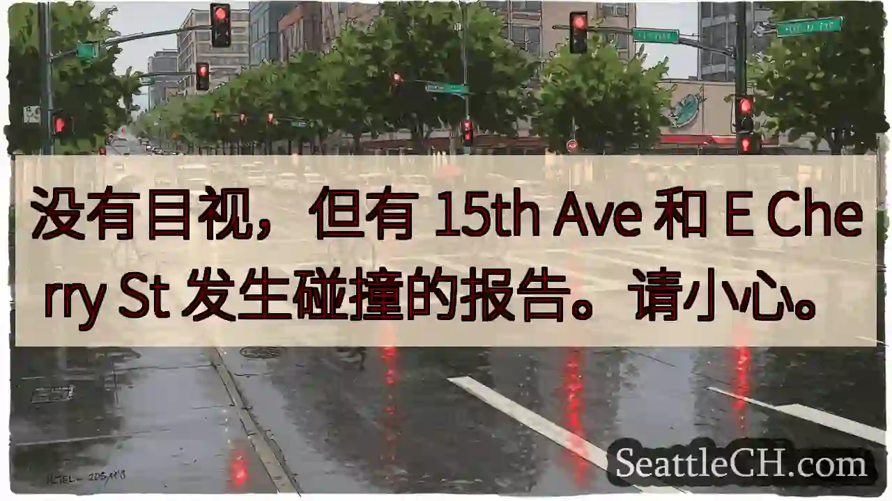 没有目视，但有 15th Ave 和 E Cherry St 发生碰撞的报告。请小心。