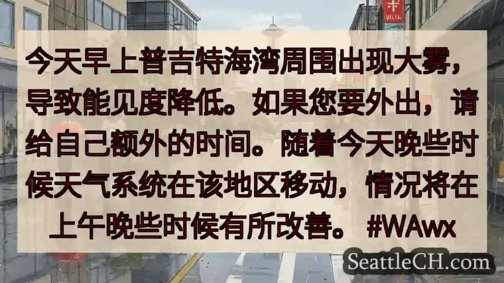 今天早上普吉特海湾周围出现大雾，导致能见度降低。如果您要外出，请给自己额外的时间。随着今天晚些时候天