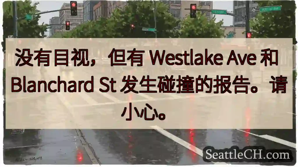 没有目视,但有 Westlake Ave 和 Blanchard St 发生碰撞的报告。请小心。