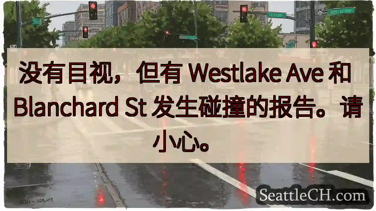 没有目视，但有 Westlake Ave 和 Blanchard St 发生碰撞的报告。请小心。
