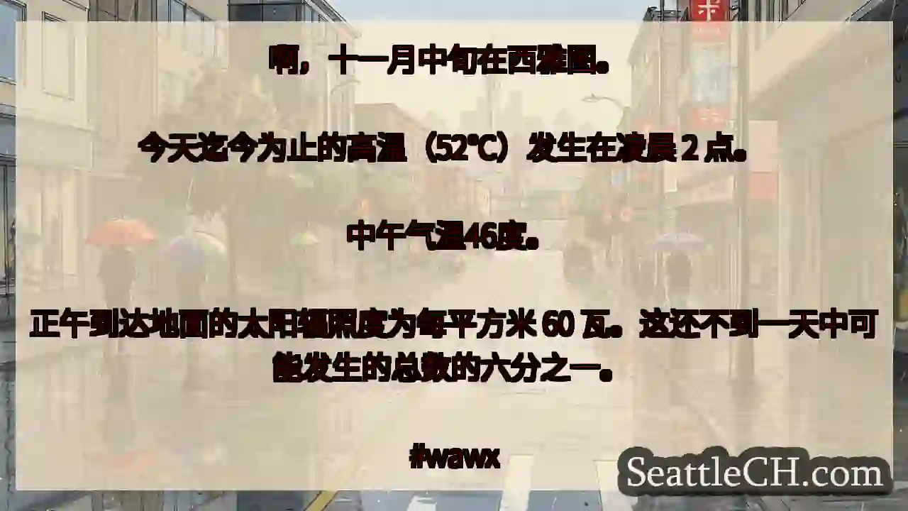 啊，十一月中旬在西雅图。